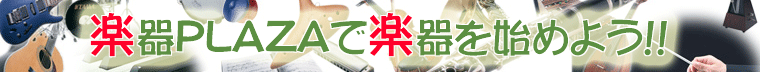 楽器PLAZAは楽器入門者向けのサイトです!!