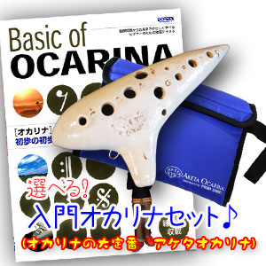 �i�A�P�^�I�J���i�j����Z�b�g